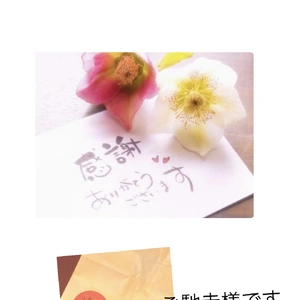 本日ありがとうございます♀