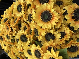 こころより御礼 12/10(水)11時にお会いしたU様へ