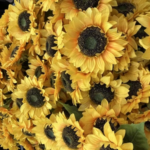 こころより御礼 12/10(水)11時にお会いしたU様へ