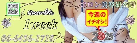 ＿●[今週のイチオシ]●