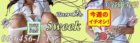 ●[今週のイチオシ]●