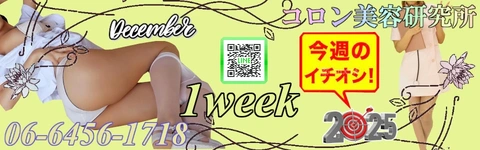 ●[今週のイチオシ]●