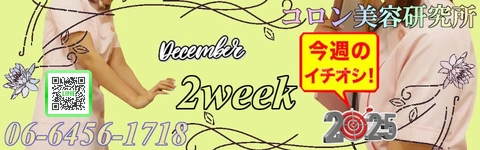 ●[今週のイチオシ]●