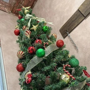 みんなで撮りたい🎄