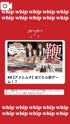 🔰初心者が鞭打ってみた🔰