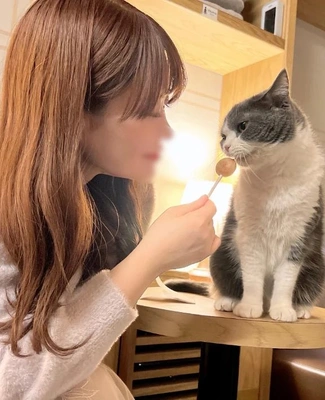 朝からもふもふ💭🐱