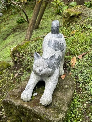 向かってます‼︎