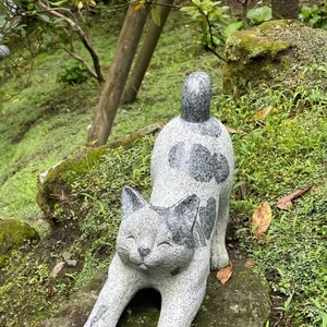 向かってます‼︎
