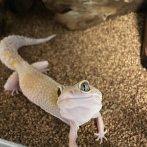 あずささんおめでとうございます🎊