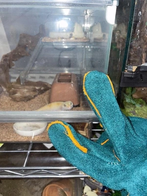 サンタさんからのプレゼント🎁