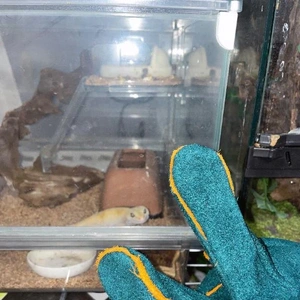 サンタさんからのプレゼント🎁