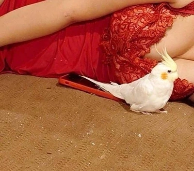 事前予約してくださった方オキニトークで何時からの予約か教えてください