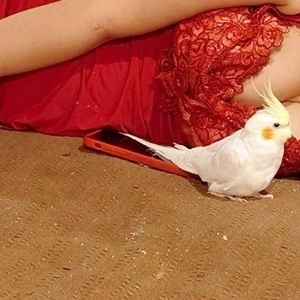 事前予約してくださった方オキニトークで何時からの予約か教えてください