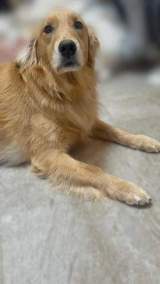 大きいのも小さいのも…///♥️