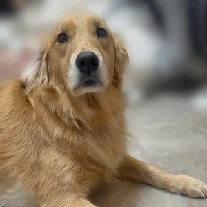 大きいのも小さいのも…///♥️