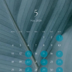 🩵5月の出勤日