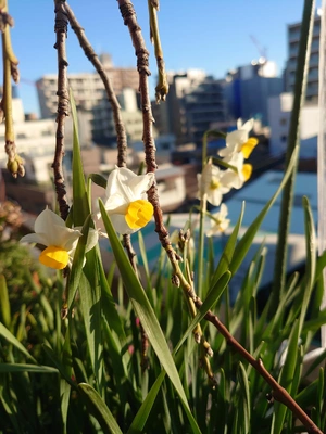 ベランダシリーズ💕