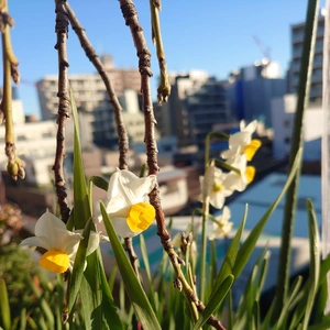 ベランダシリーズ💕