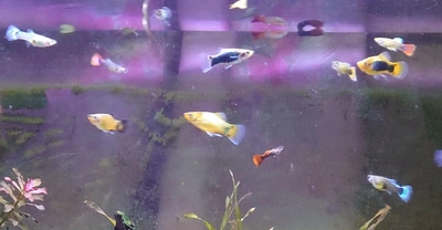 出産ラッシュ💕