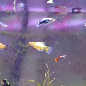 出産ラッシュ💕