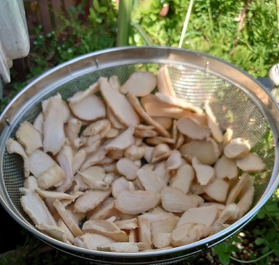 新じゃないけど…💕