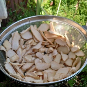 新じゃないけど…💕