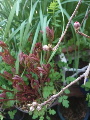 幸せな香りに包まれて💕