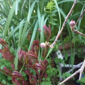 幸せな香りに包まれて💕