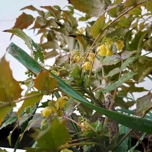寒いけど春の足音が…💕