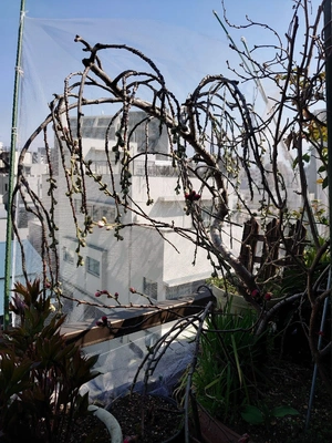 待ちきれない💕