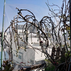 待ちきれない💕