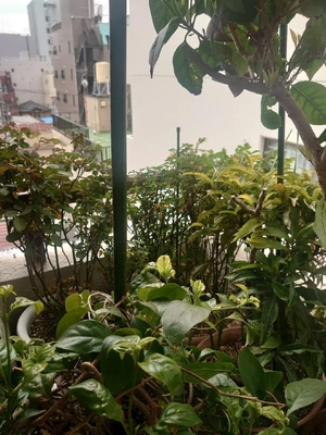 負けないもん‼️