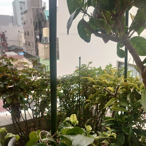 負けないもん‼️