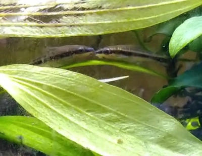 ラブラブです💕