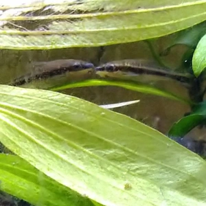 ラブラブです💕