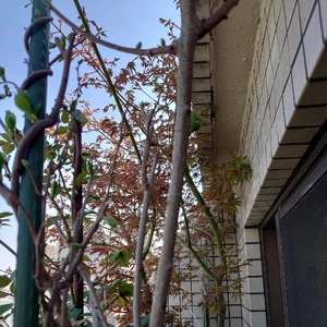 みーつけぇた‼️💕