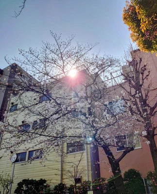 寄り道で写メ🐾💕