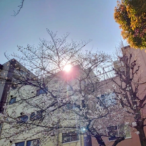 寄り道で写メ🐾💕