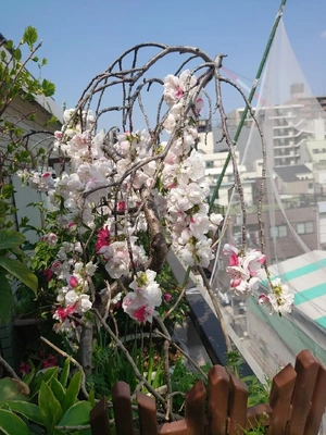 コラボが素敵💕