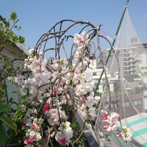 コラボが素敵💕