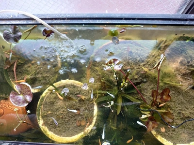 春だぁ~‼️全員集合💕