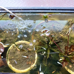 春だぁ～‼️全員集合💕