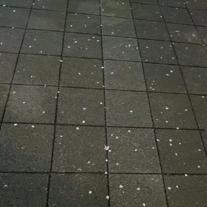 またまた寄り道です😆💕