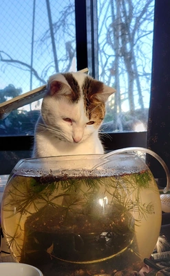 何見てんのよ〜‼️