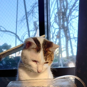 何見てんのよ〜‼️