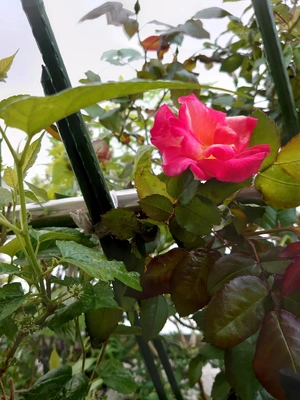 やったぁ～1番乗りぃ〜‼️