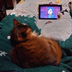 皆でアニメ鑑賞💕