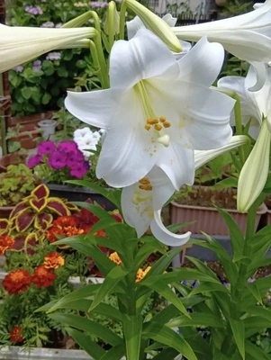おはようございます😊