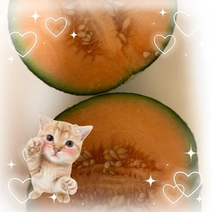 こんにちは☀️