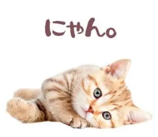 おはようございます👐